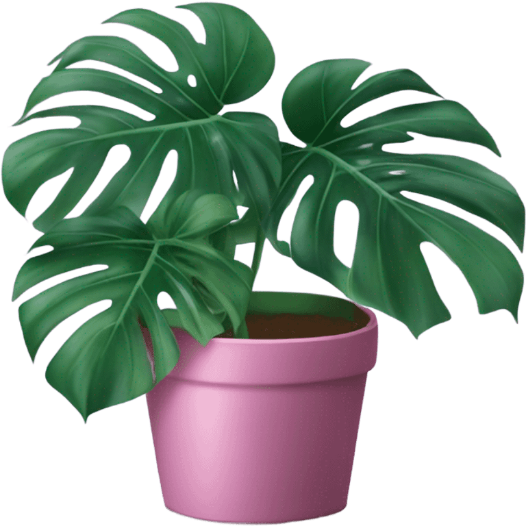 Monstera flower violet color in a pink-colored pot emoji