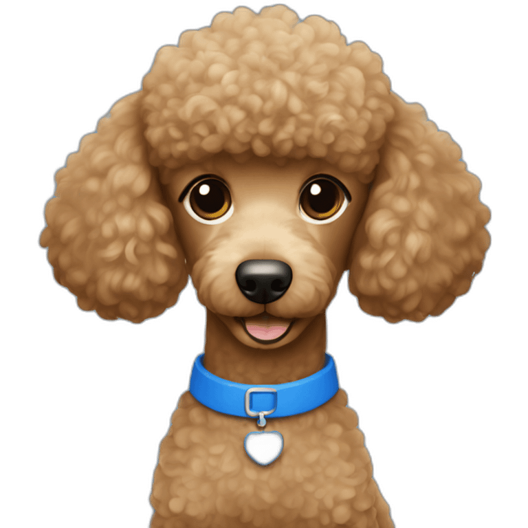 Light brown poodle wearing a blue t-shirt with the text U2 emoji