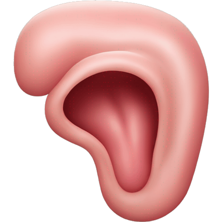 “A detailed illustration of a human stomach, with its curved shape, inner lining, and digestive features, showing subtle shading and a natural pinkish hue.” emoji