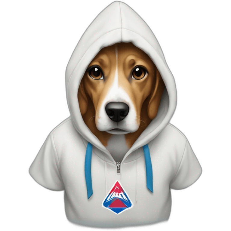 dog wearing a hoodie with palace logo on it emoji