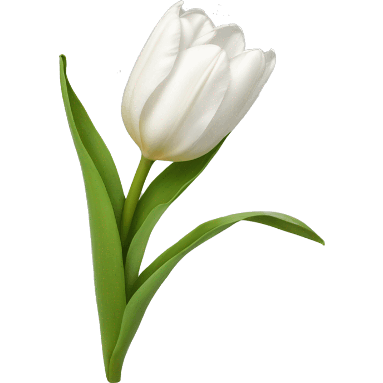 White tulipans emoji