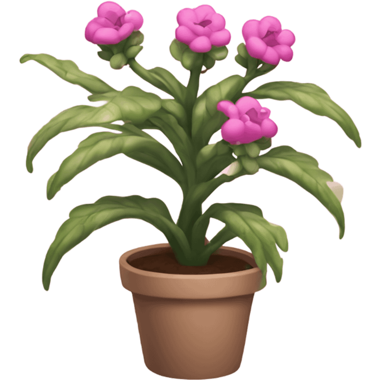 Pink plant that’s smiling emoji