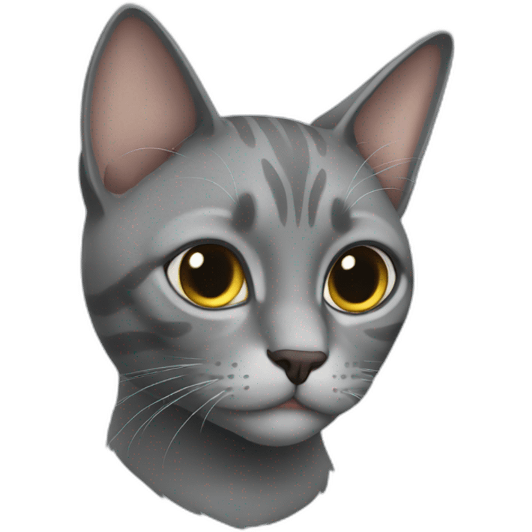 Gray cat arturo emoji