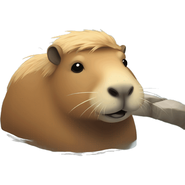 capybara in a hot spring  emoji