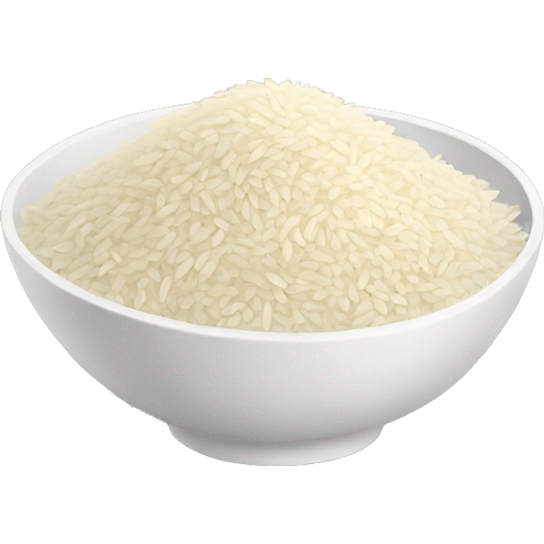 PAKISTANI RICE WITH LEG PIECE emoji