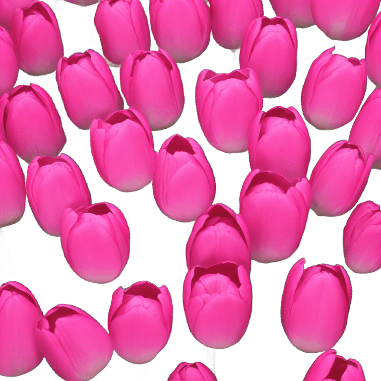 a background of bright pink tulips  emoji