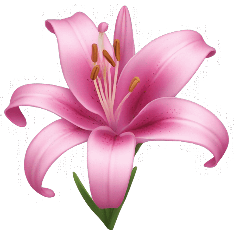 pink lilly flowers emoji