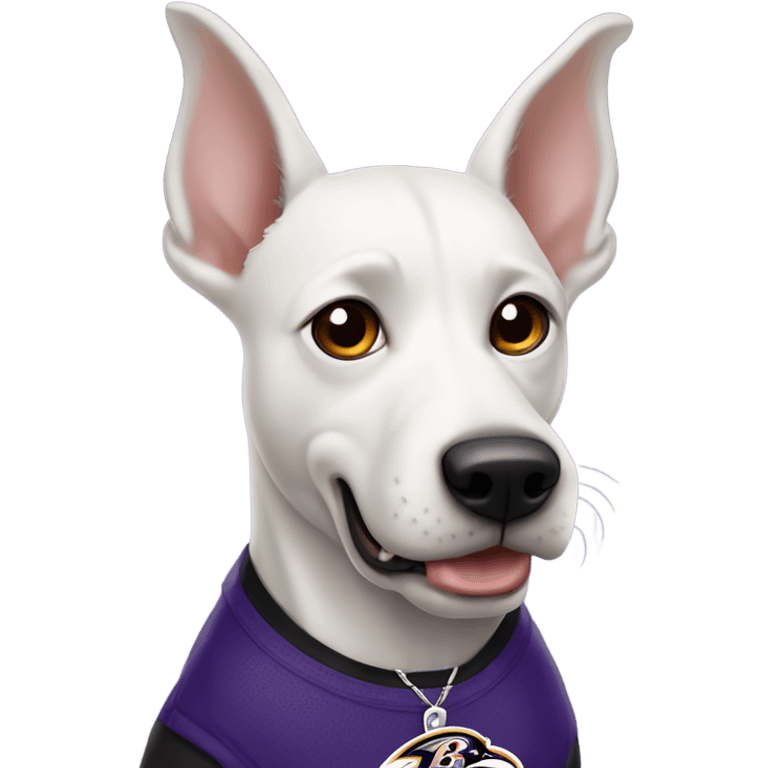 White dog with pointy ears and Baltimore Ravens  emoji