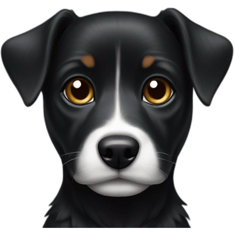 Black small dog with White spot emoji