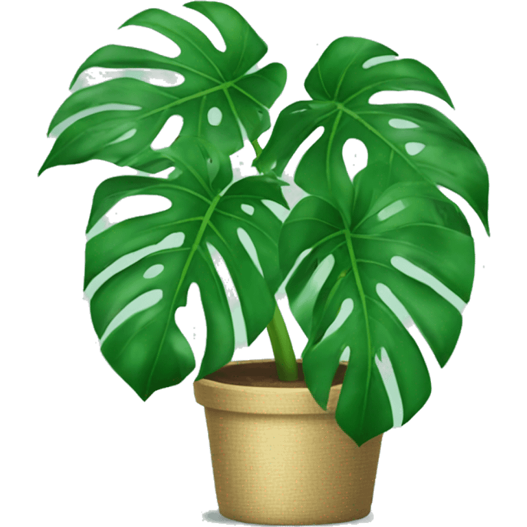 Monstera emoji