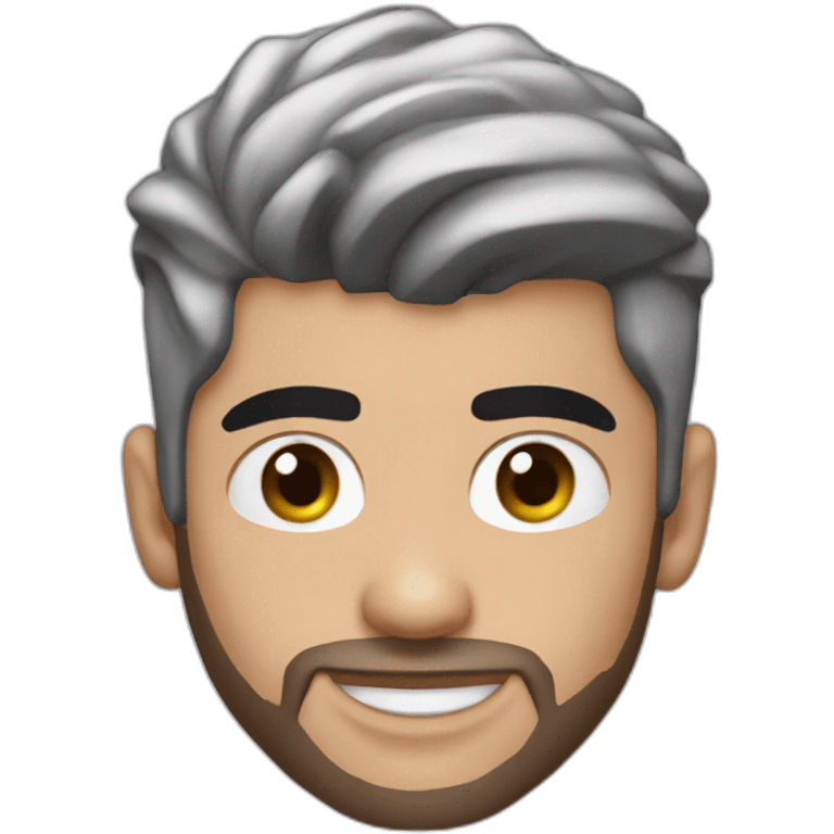 Zayn malik singer emoji