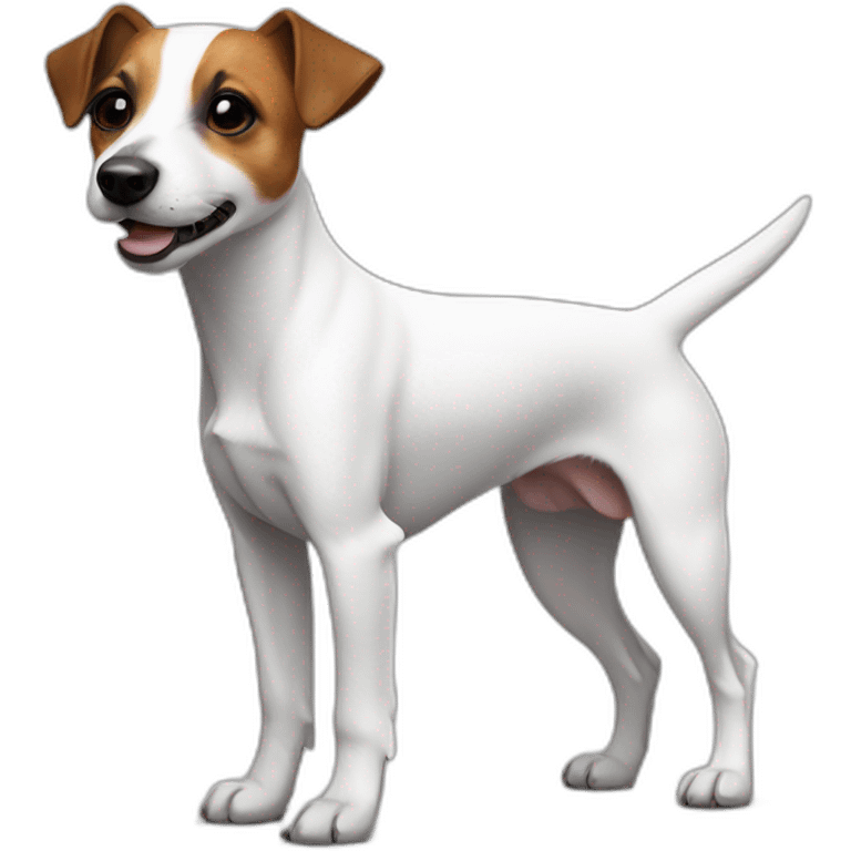 Jack Russell Terrier with a black spot on one side and a white one on the other side, one ear is standing, the other is lying emoji