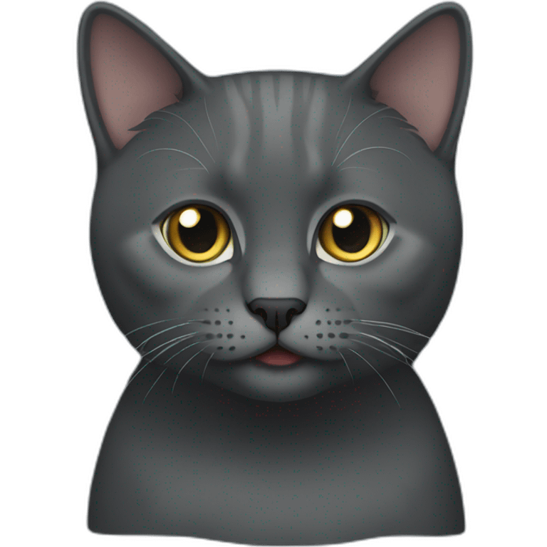 dark gray british shortair cat emoji