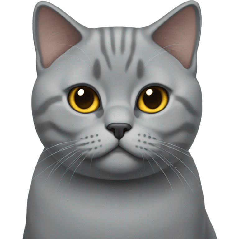 british shorthair cat emoji