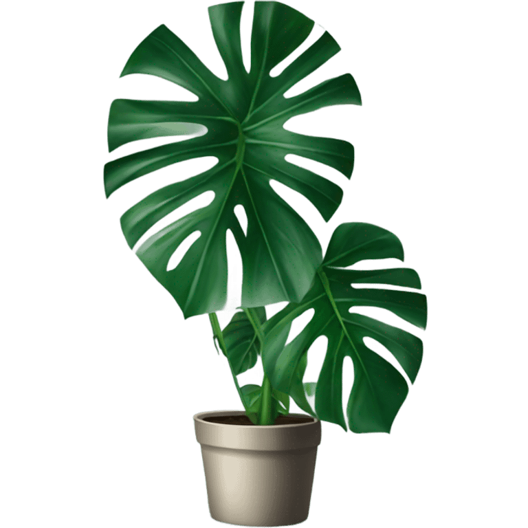 monstera plant emoji