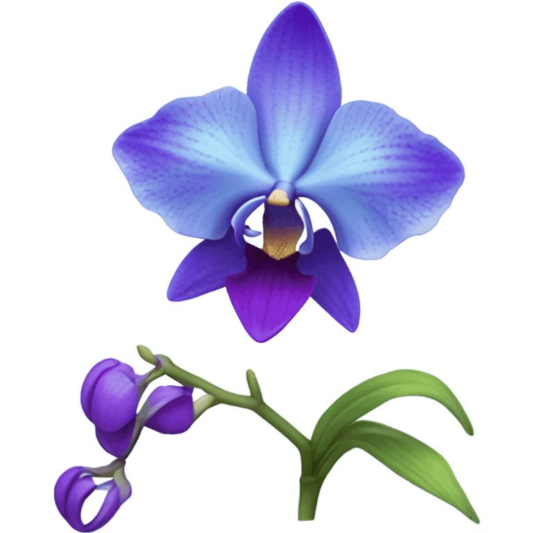 Blue orchid flower emoji