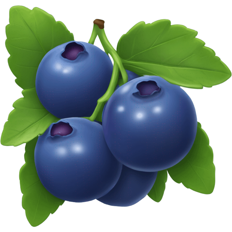 blueberries emoji