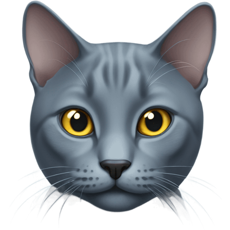 russian blue cat emoji