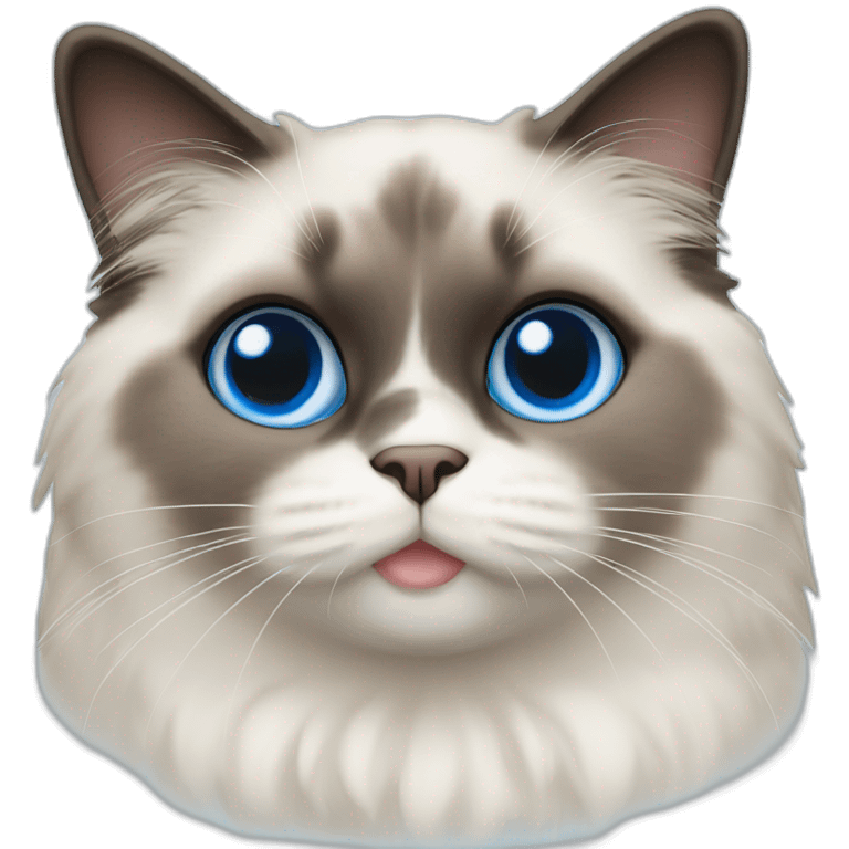 Chubby ragdoll cat with blue eyes emoji