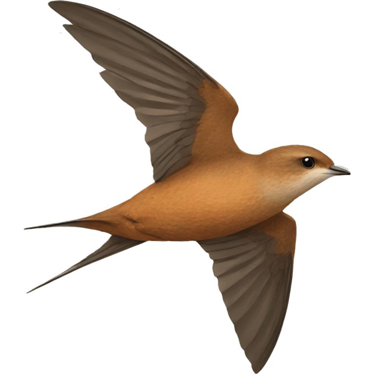 common swift emoji