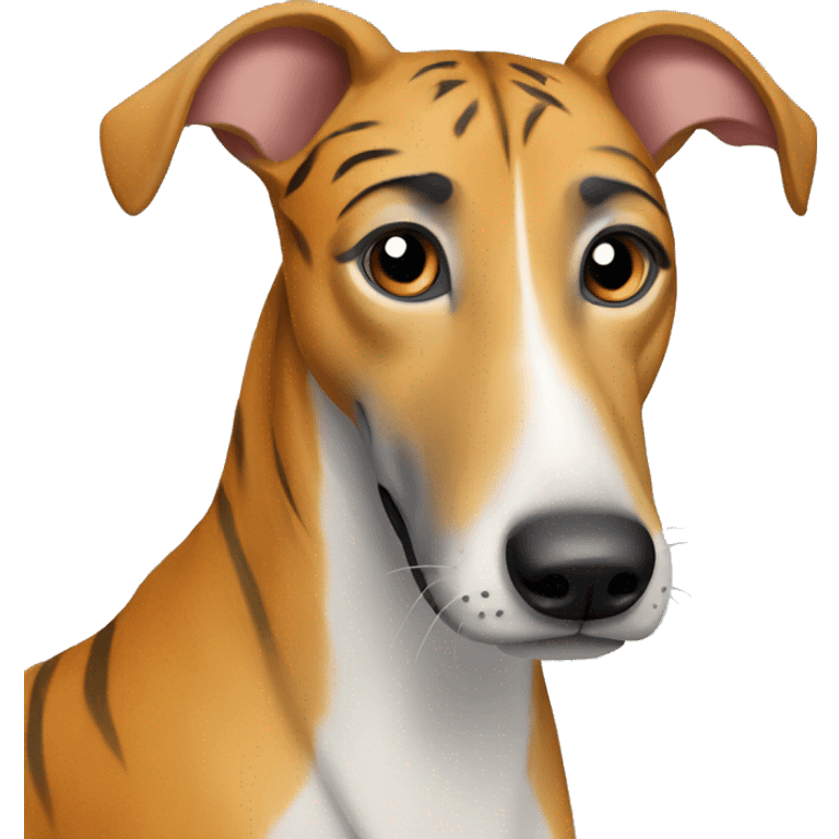  tiger greyhound with grey nose emoji