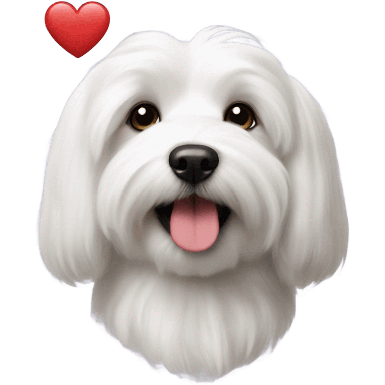 Coton de Tulear dog with heart emoji