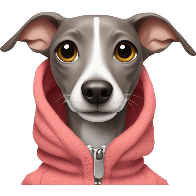 Italian Greyhound with clothes emoji