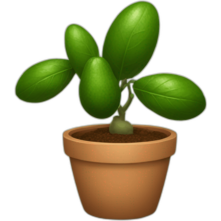 avocado-houseplant-in-pot emoji