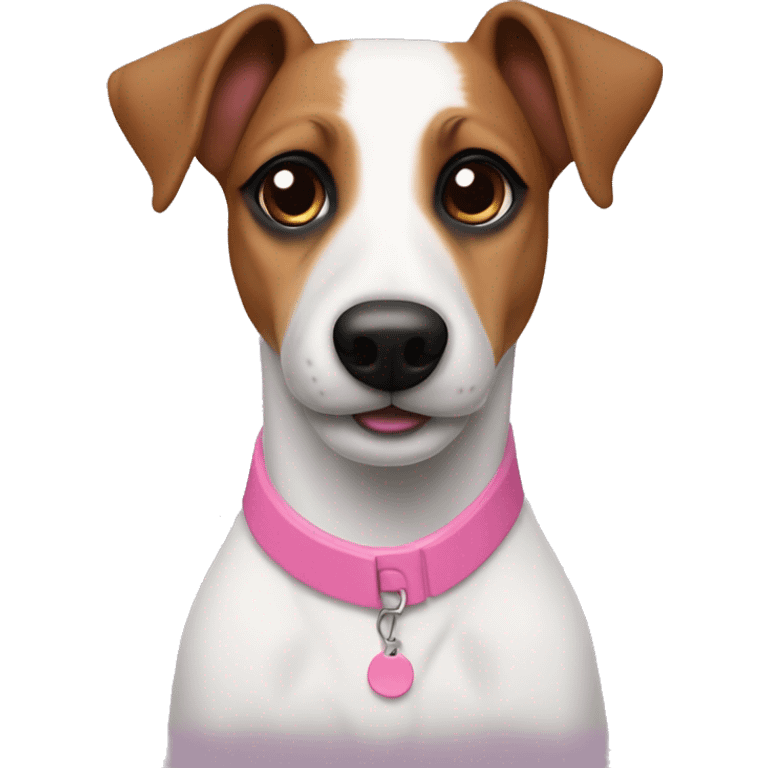 Jack Russel with one brown eye patch and pink collar  emoji