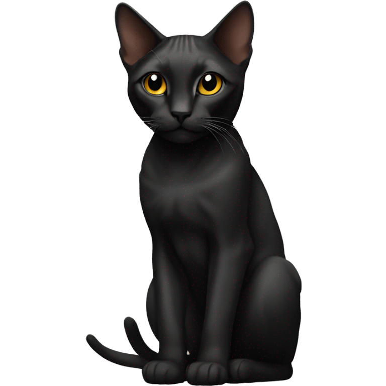 Cat sphinx black  emoji