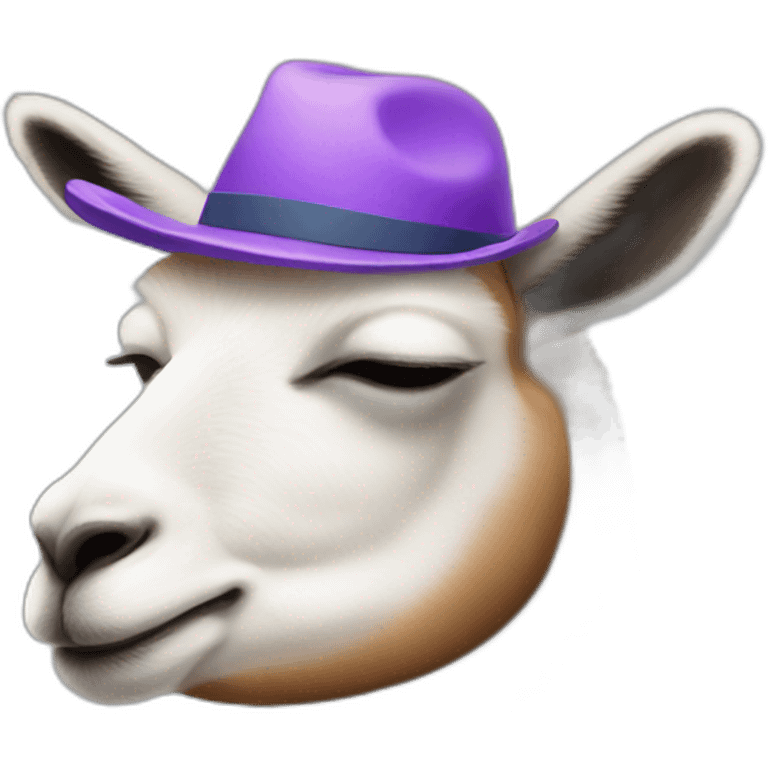 lama's head with a sleeping hat emoji