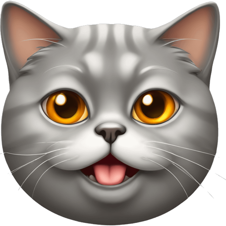 Gray fat cat, Persian cat, orange eyes, tongue sticking out emoji