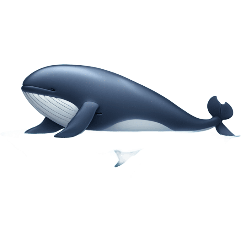 Whale massaging a cat  emoji