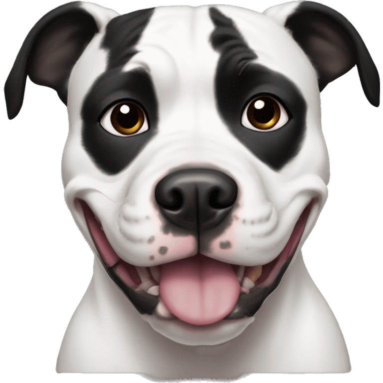 A black and white pitbull with black ears, black patches on his eyes and a black nose smiling emoji