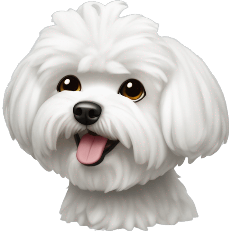 Bichon maltes tierno emoji