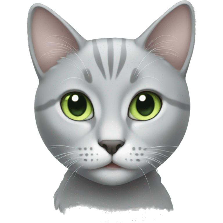 light grey cat with light green eyes emoji