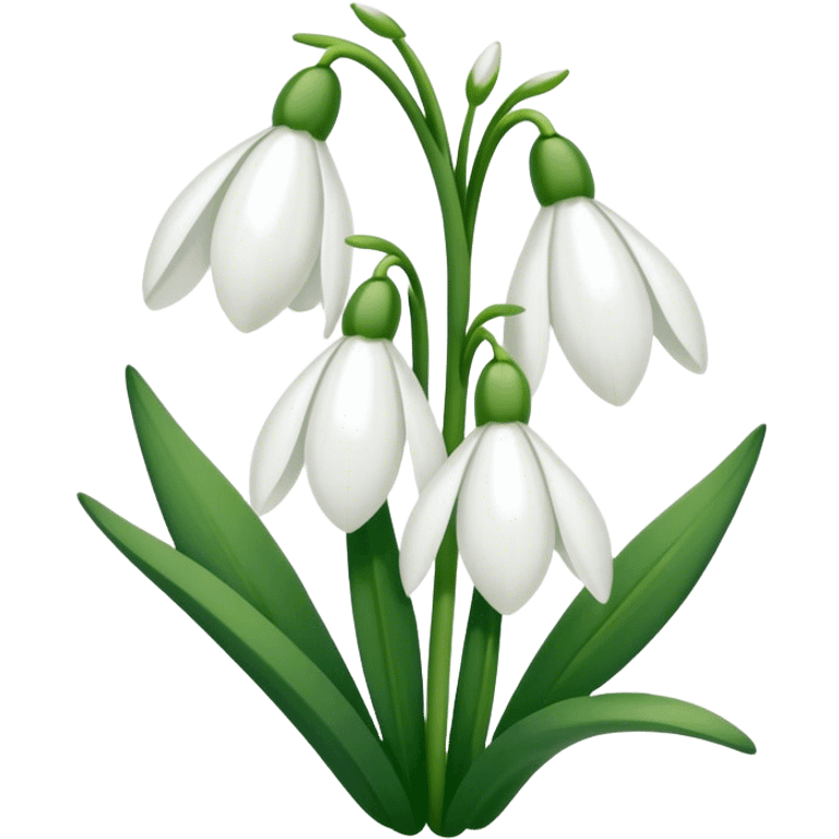 Snowdrop flowers emoji