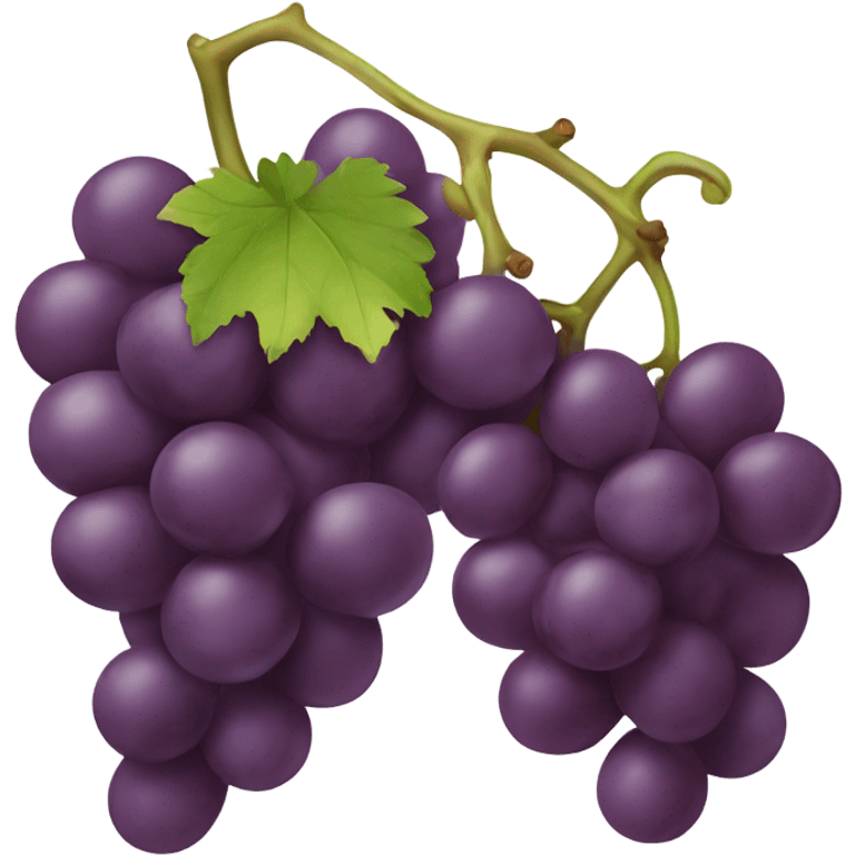 California Grapes  emoji