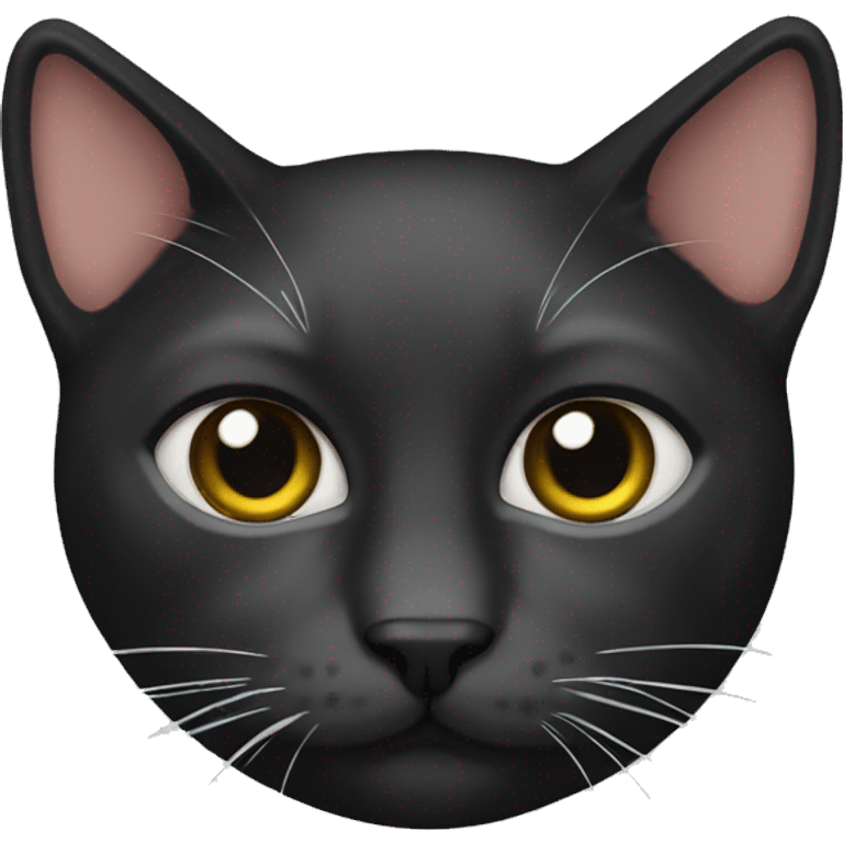 Cat blac emoji