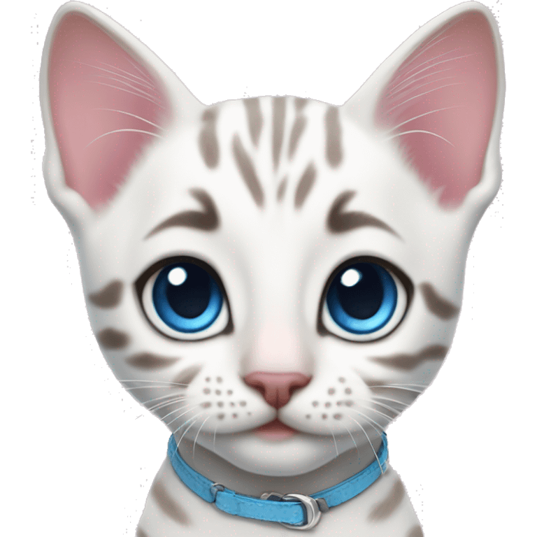 white bengal kitten with blue eyes and pink collar emoji