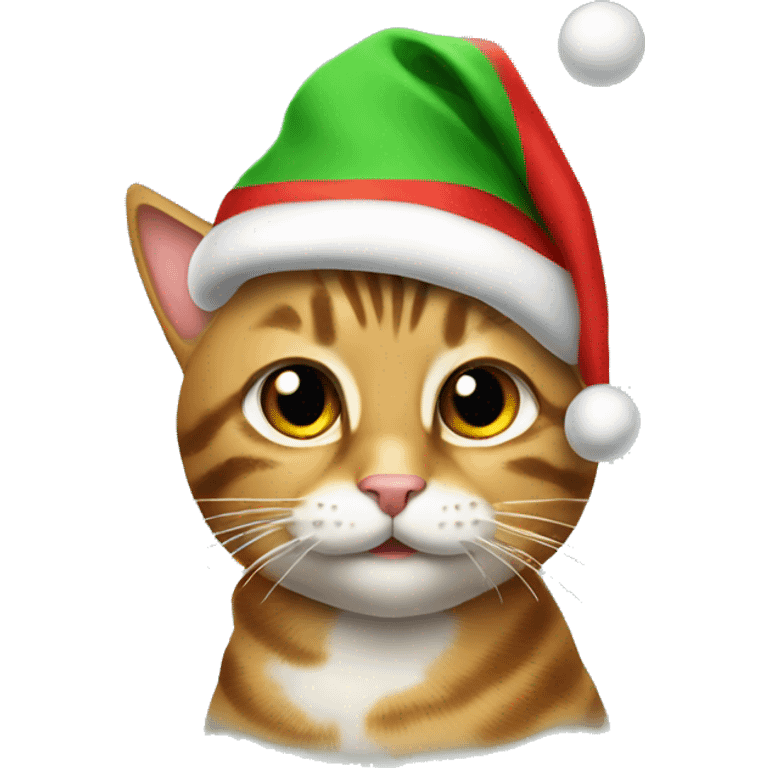 tabby cat wearing christmas hat  emoji