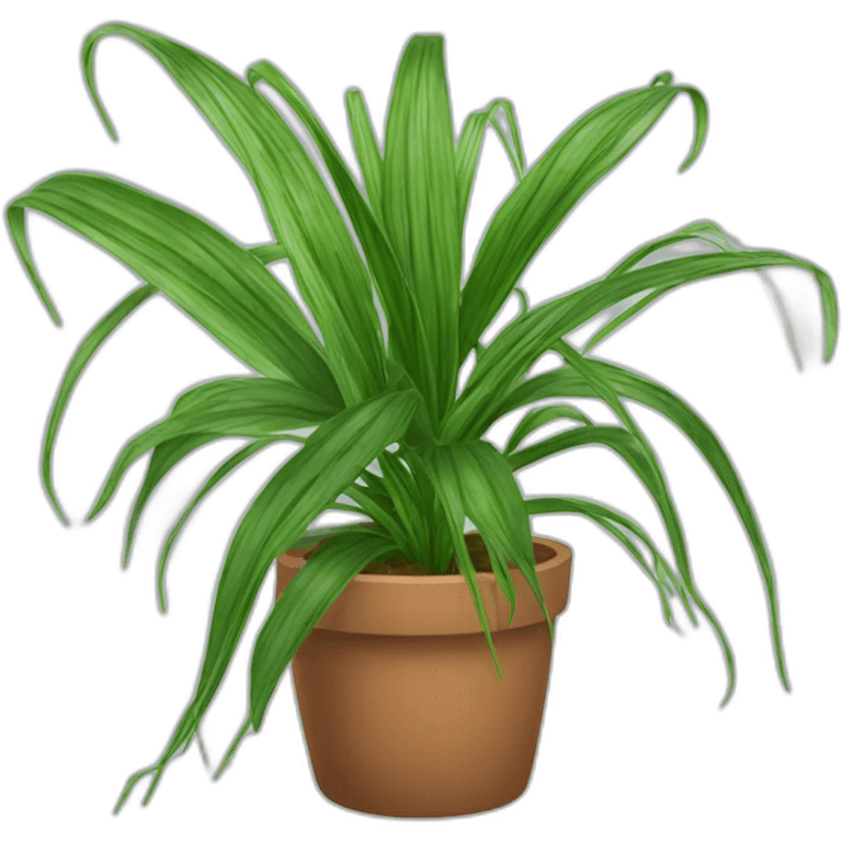 Spider Plant emoji