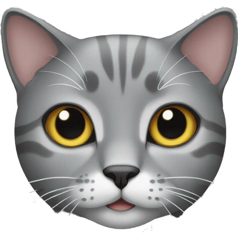 grey cat emoji