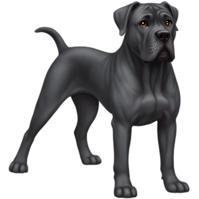 Dog Cane Corso full body emoji