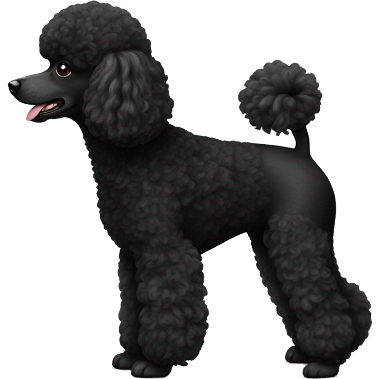 A black miniature poodle  emoji