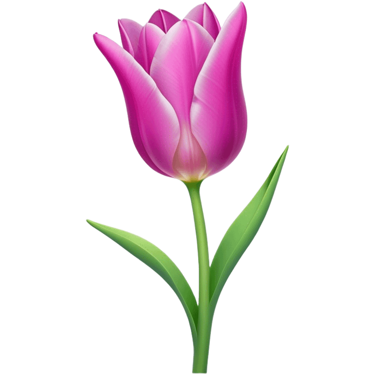 Cinematic Realistic Tulip Emoji, Elegant and simple, with soft, smooth petals in shades of pink and purple, gently curved and reaching upward. The slender green stem contrasts against the delicate bloom, while surrounding greenery adds a peaceful touch. Soft glowing outline, capturing the essence of springtime beauty and grace in a delicate tulip. emoji