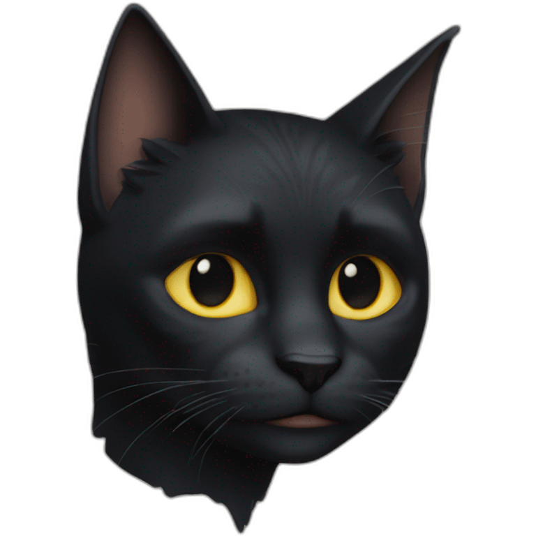 chat noir et boanc emoji