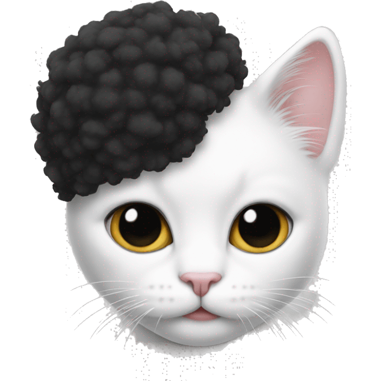 white cat with black face and afro emoji