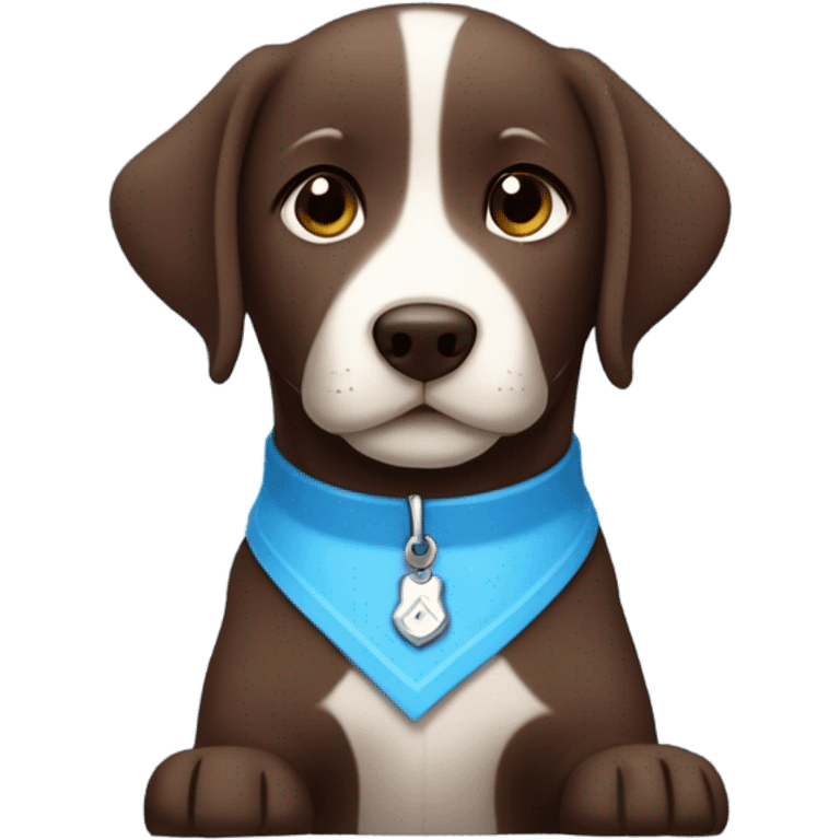 Chocolate labrador adorable little puppy with small white fur on chest and cute blue collar emoji