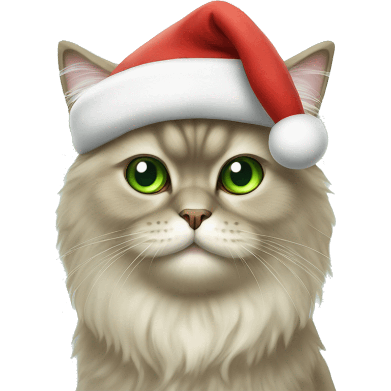 persian cat with light green eyes with santa hat emoji